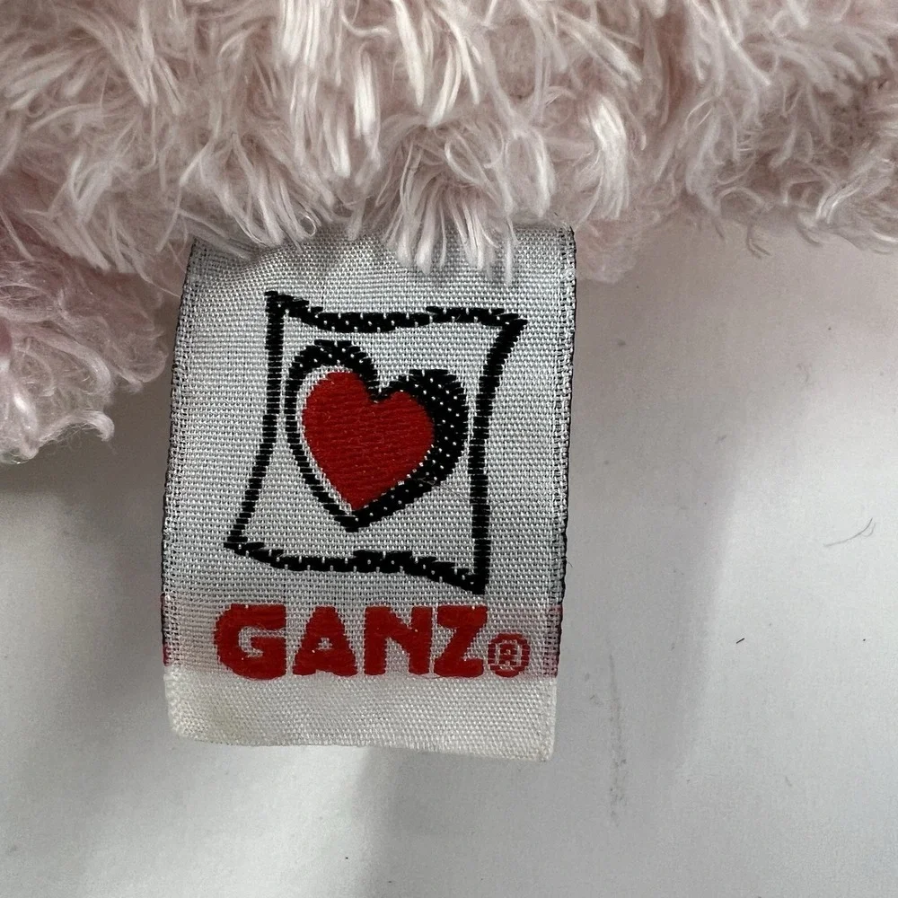 GANZ bring home